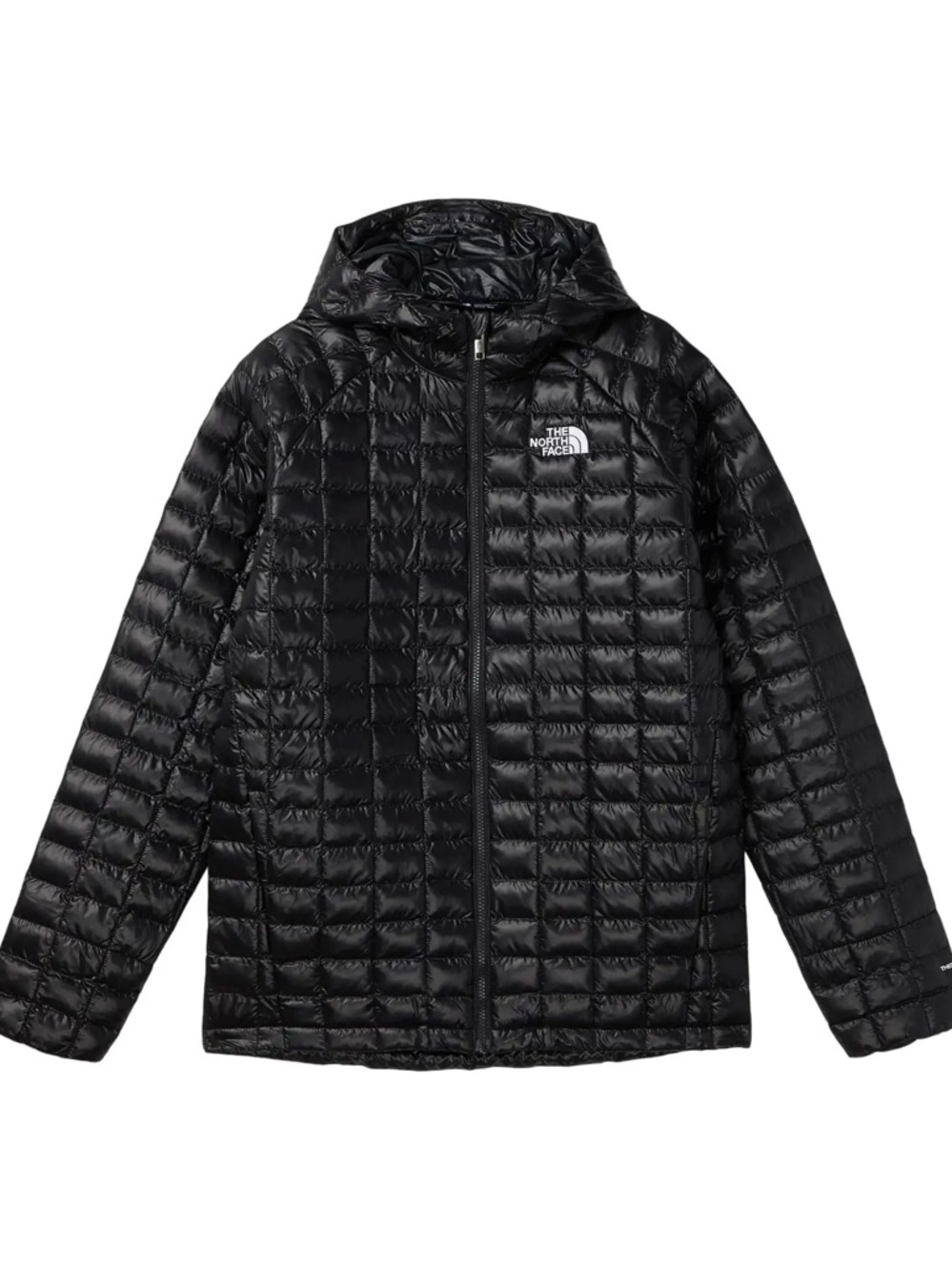 The North Face Black Quilted Puffer Jacket